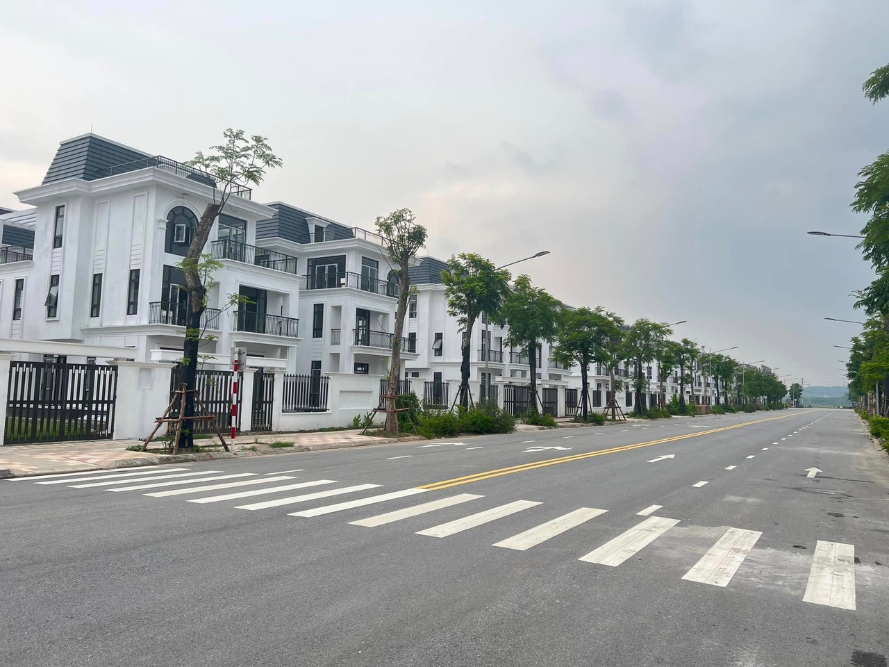 z4433526551995_43e3a29b9a68a3f0c6c788e971a57274